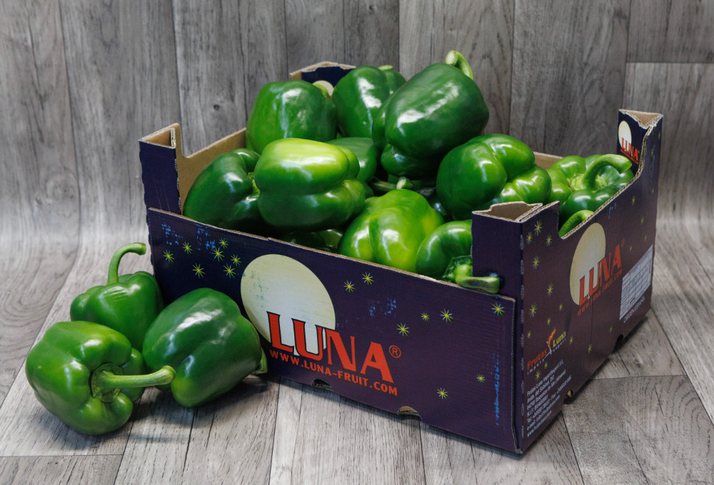Green bell pepper