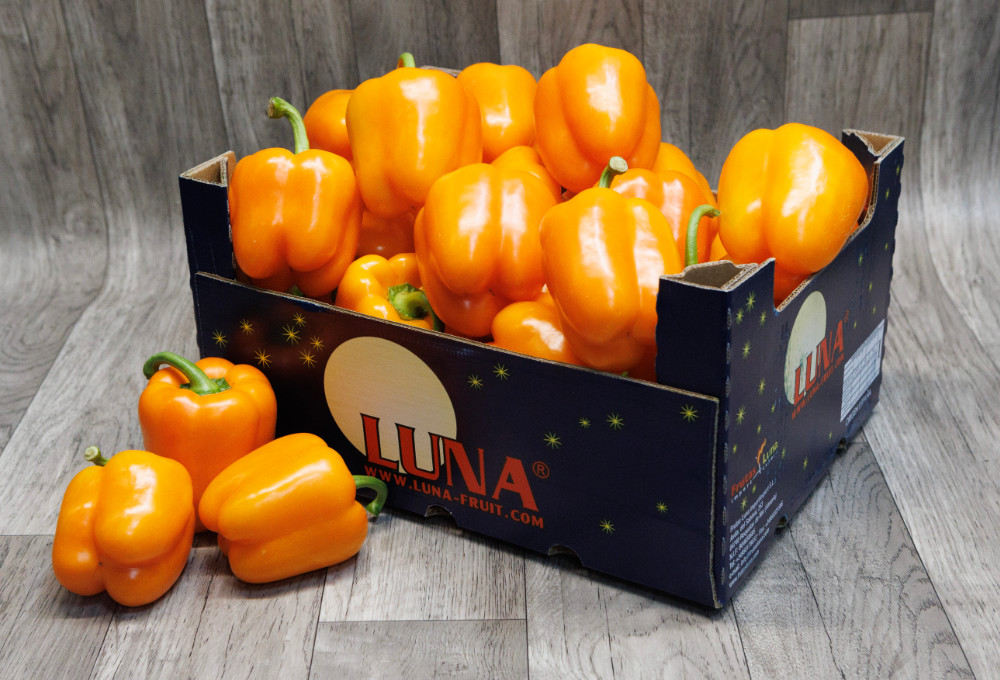 Paprika oranje