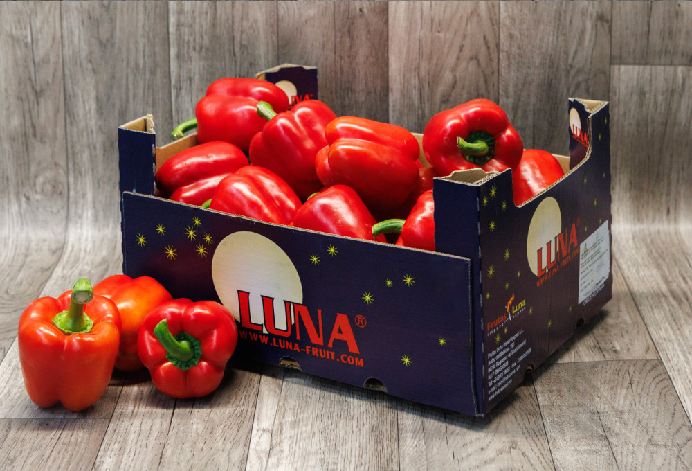 Capsicum red